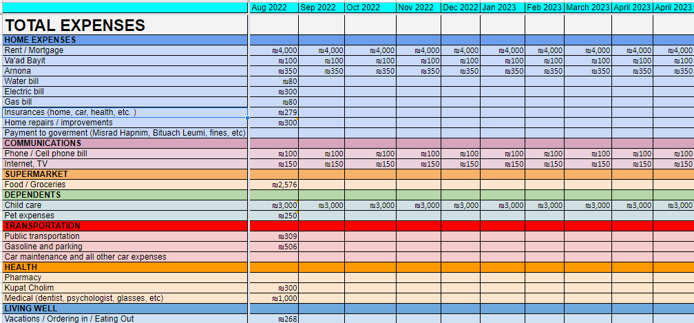 Our very own Fionist expense&nbsp;tracker