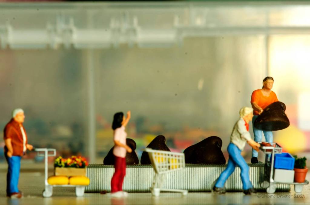 10 more ways to save money on your next grocery&nbsp;shop