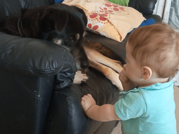 16 “must have” baby items we never&nbsp;bought