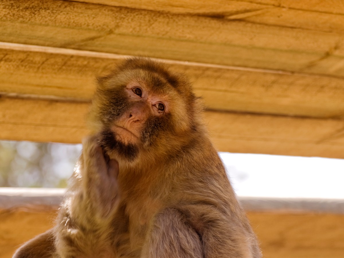 5 common myths about Kranot&nbsp;Hishtalmut