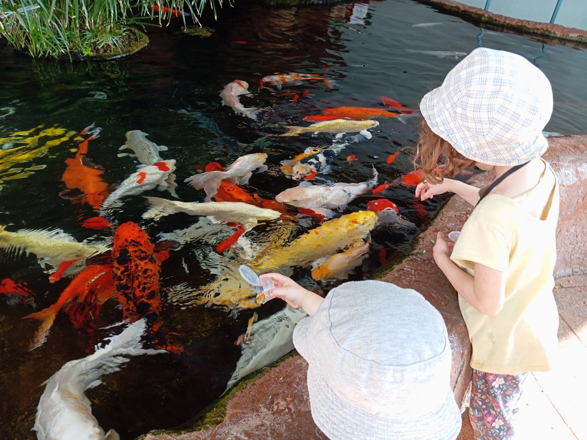 Our Fionist personal update – Sep-Dec&nbsp;2023