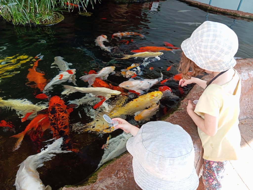 Our Fionist personal update – Sep-Dec&nbsp;2023