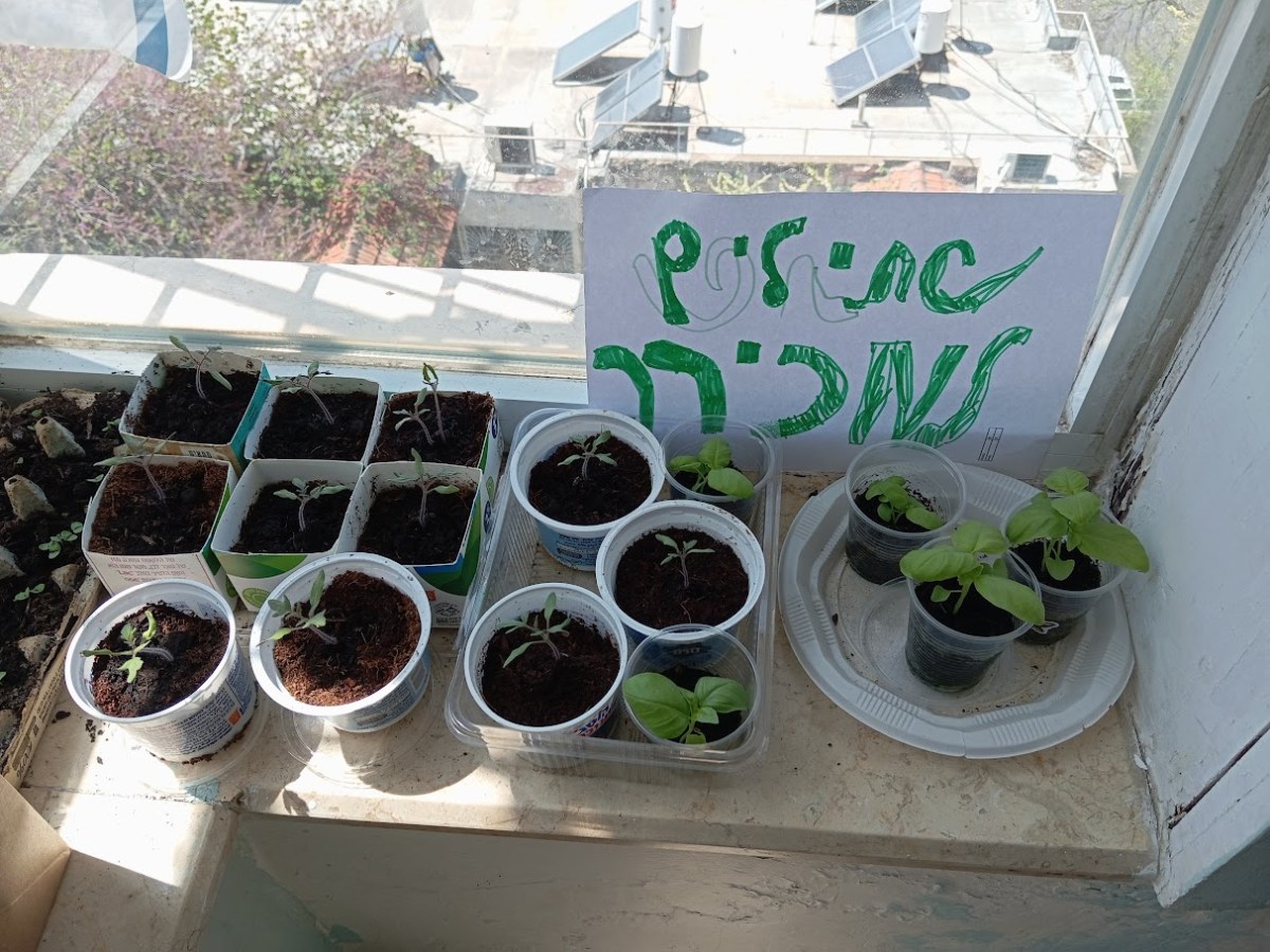 Our Fionist personal update – Q1&nbsp;2024